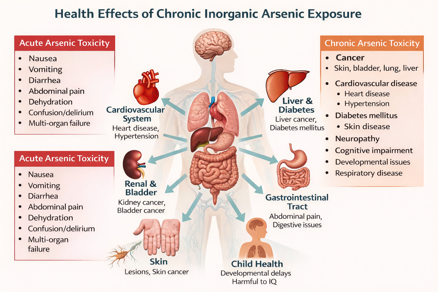 Impact of inorganic Arsenic